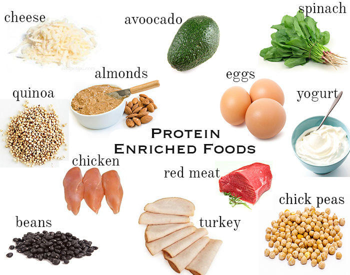 protein enriched food for weight loss