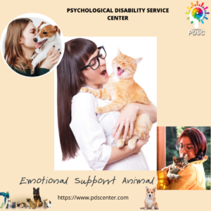 Emotional support animal | ESA letter