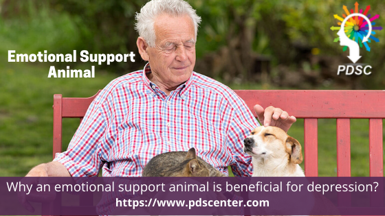 Emotional support animal | Emotional support letter