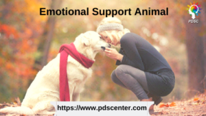 Emotional support animal | Emotional support letter