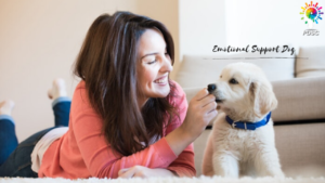 ESA letter | Emotional support dog