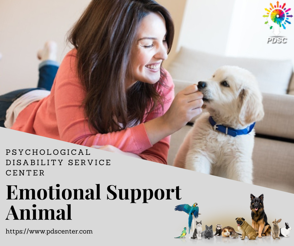 Emotional support animal | ESA letter