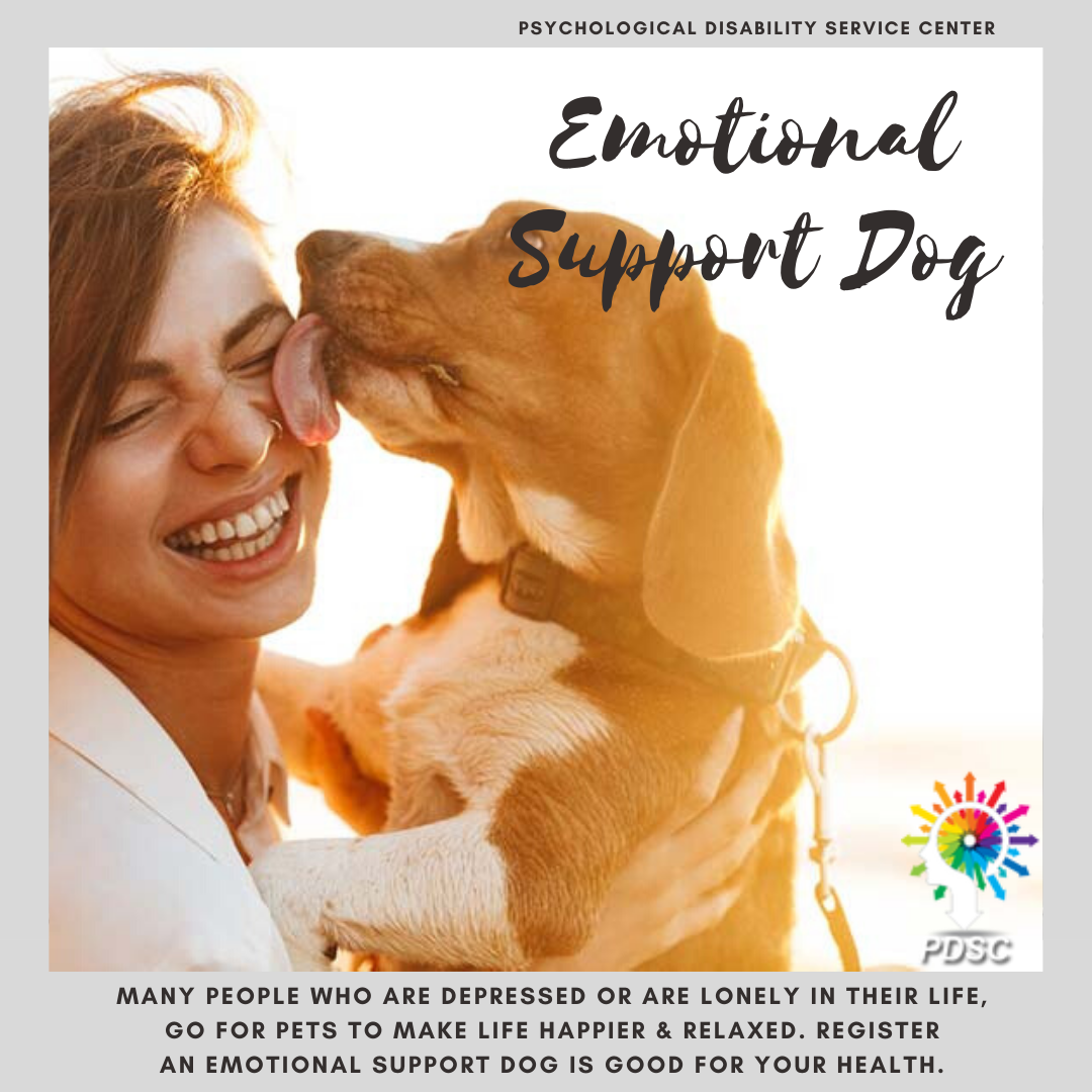 Emotional support dog | Emotional support letter
