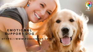 Emotional support dog | ESA letter
