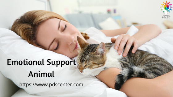 ESA letter | Emotional support animal