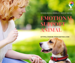 Emotional support animal | ESA letter