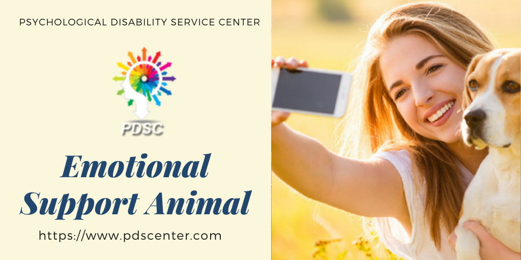 Emotional support animal | ESA letter