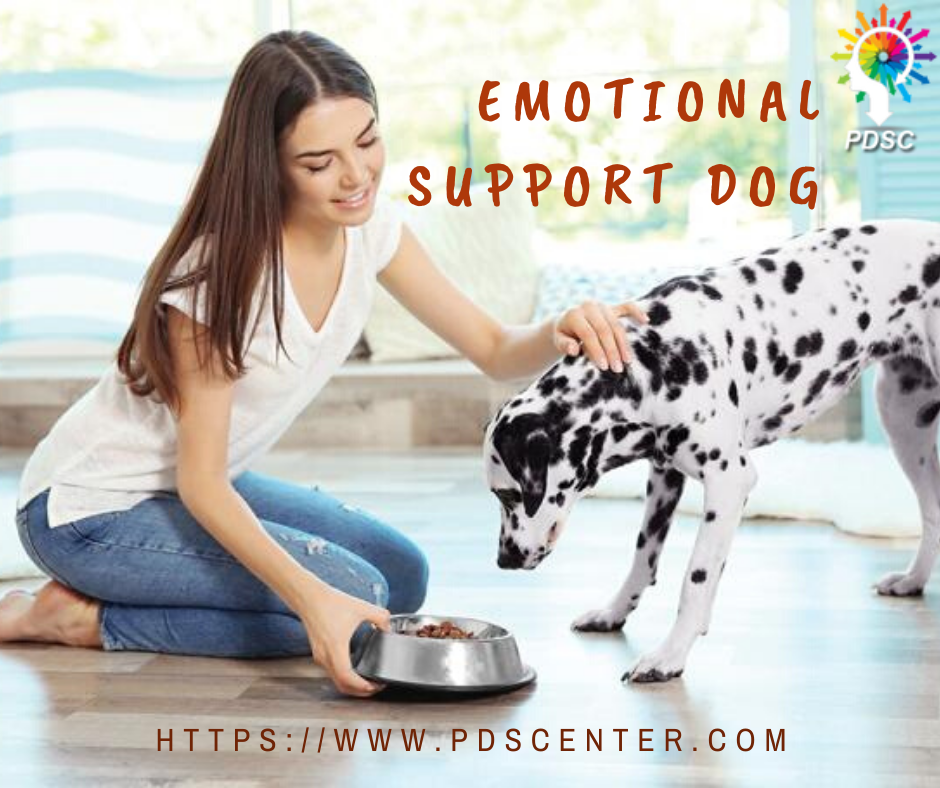 Emotional support dog | ESA letter