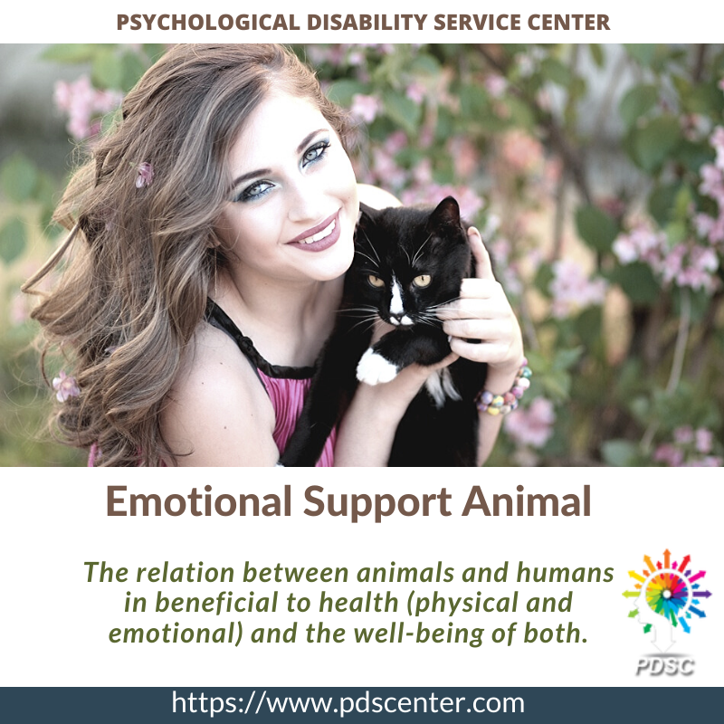 Emotional Support Animal | ESA Letter