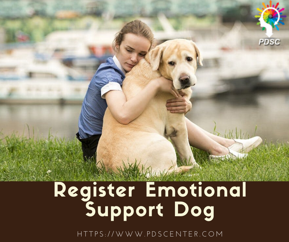 Emotional support dog | Service animal letters