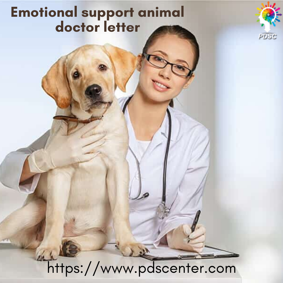 Emotional support animal doctor letter | Emotional Support Dog