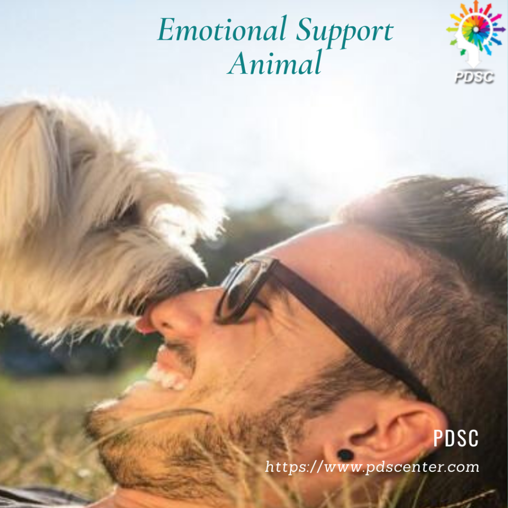 Emotional support animal doctor letter