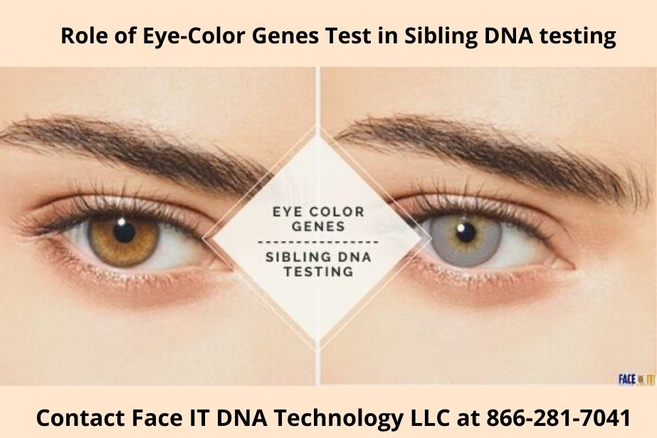 How eye-color test can play a vital role in sibling DNA testing_