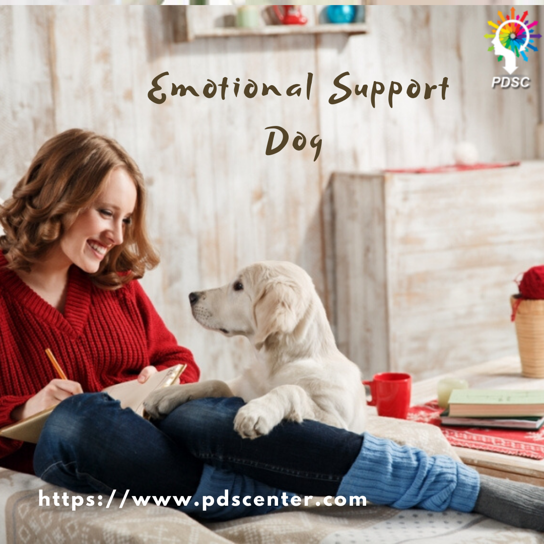 Emotional Support Dog | ESA Letter