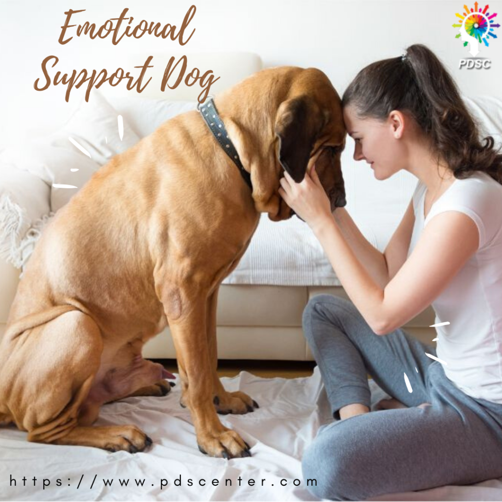 Emotional Support Dog | ESA Letter