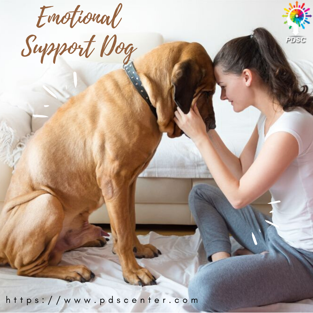 Emotional Support Dog