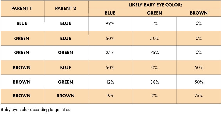 eye color genes - sibling dna testing