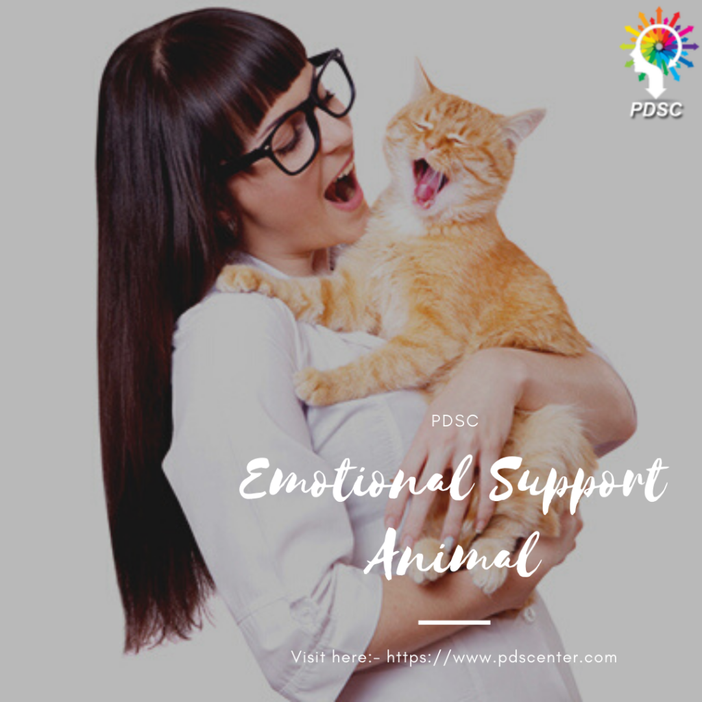 Emotional support animal 