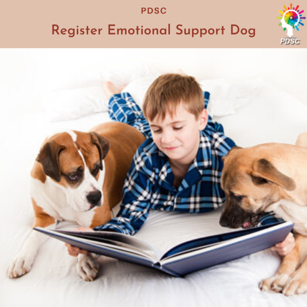 Register emotional support dog | ESA Letter