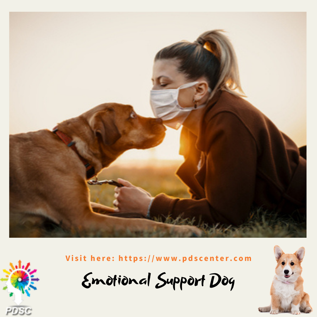 Emotional Support Dog | ESA Letter