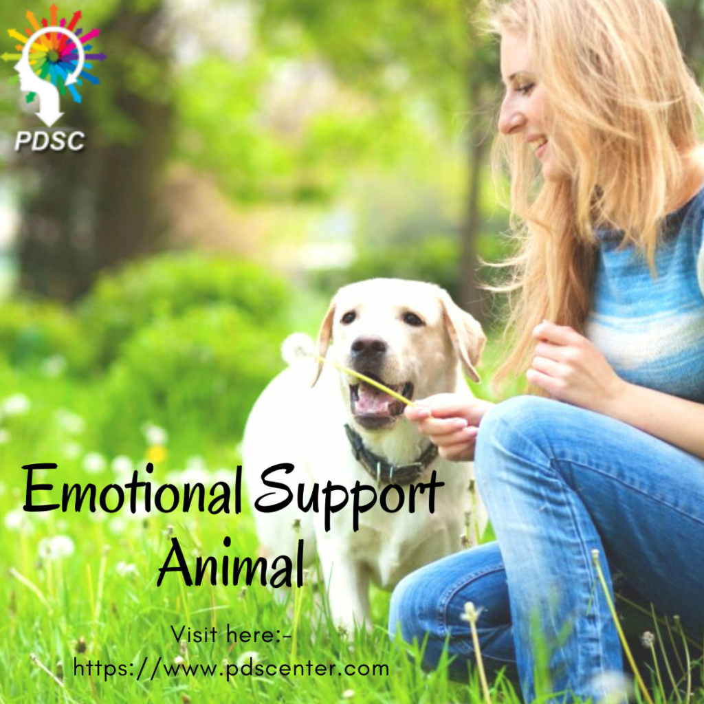 Emotional support animal | ESA Letter