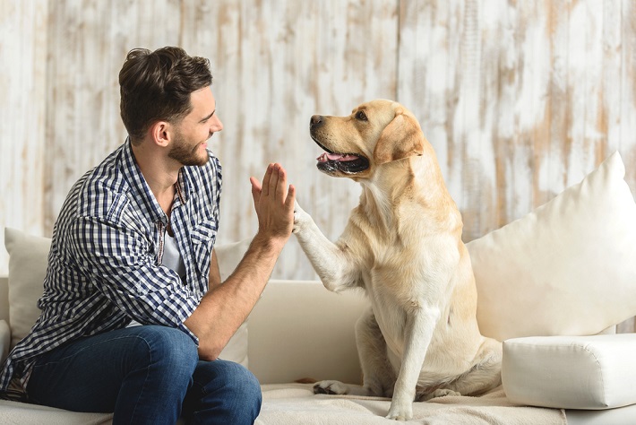 Emotional Support Animal