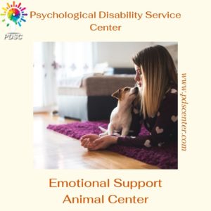 Emotional Support Dog