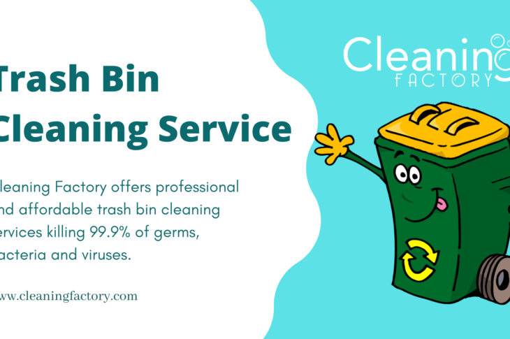 Trash Bin Cleaning Service