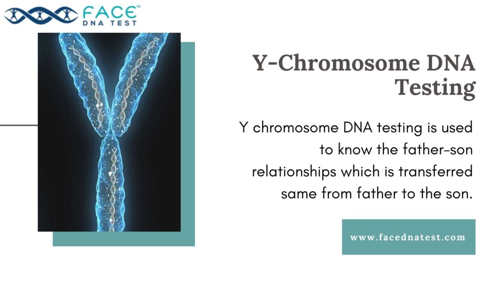 Y-Chromosome DNA testing 