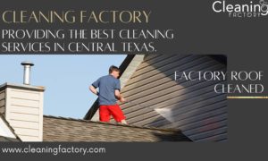 Window Cleaning Texas