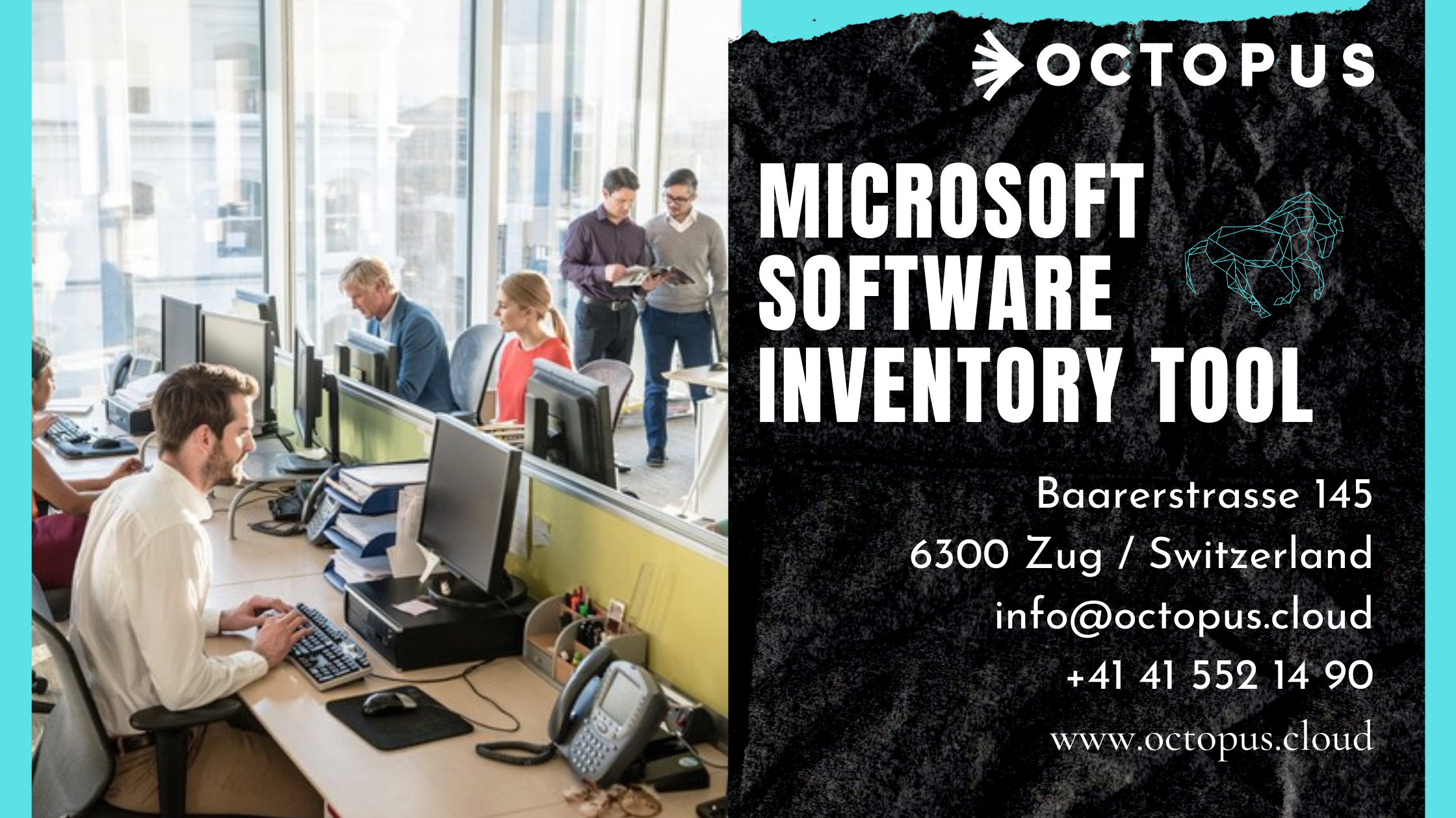 Microsoft software inventory tool