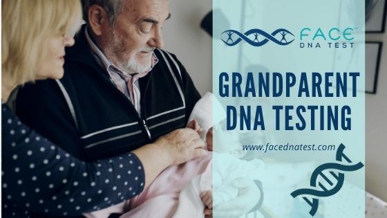 Grandparent DNA Testing
