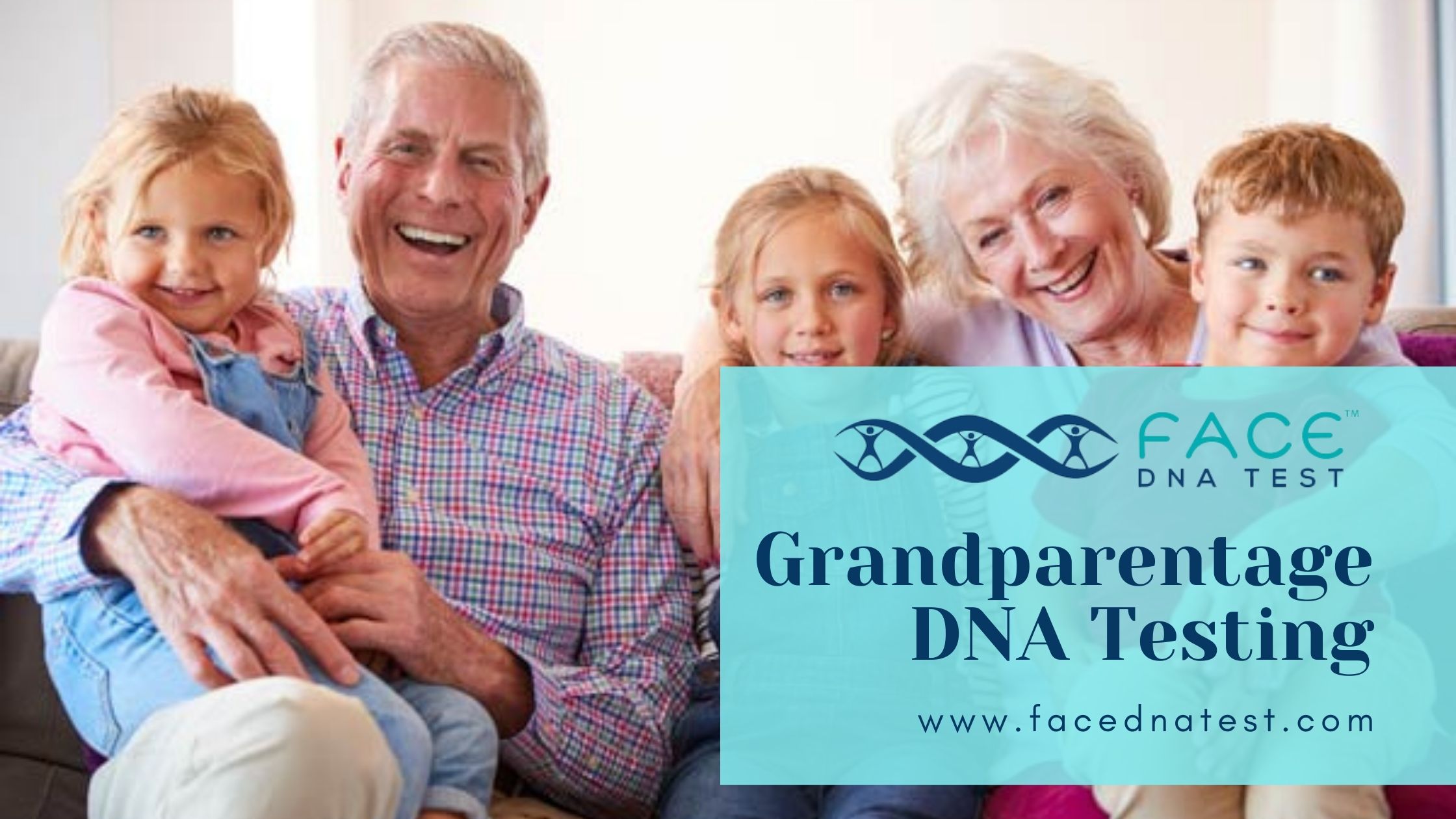 Grandparentage DNA Testing