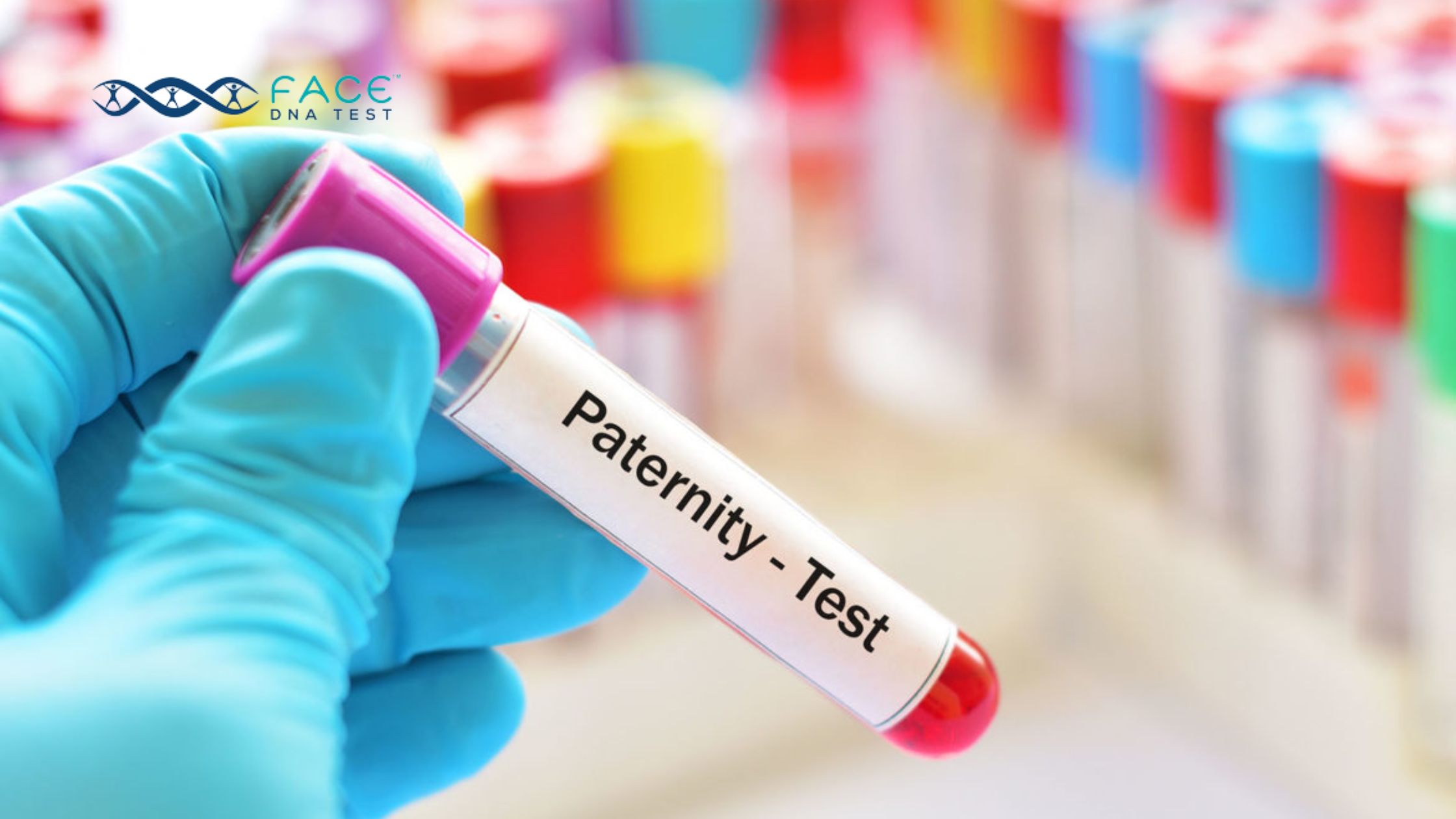 Paternity Test