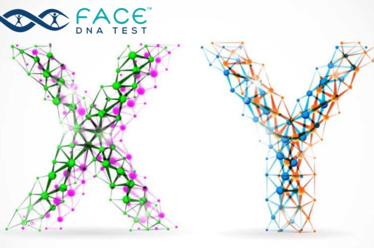 Y-Chromosome DNA testing