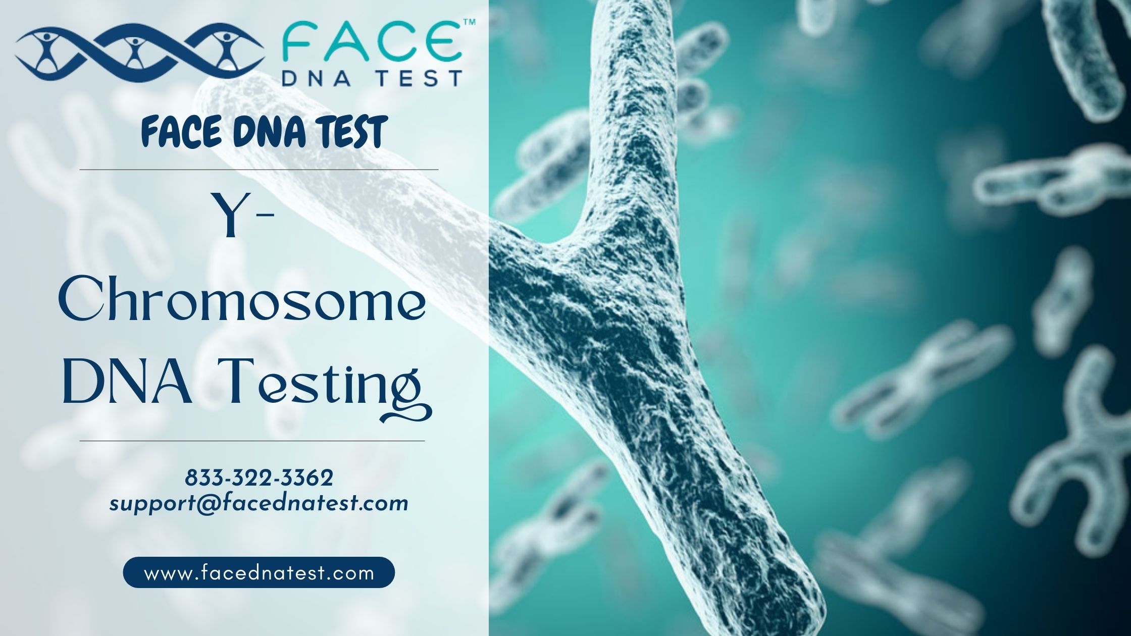 Y-Chromosome DNA testing