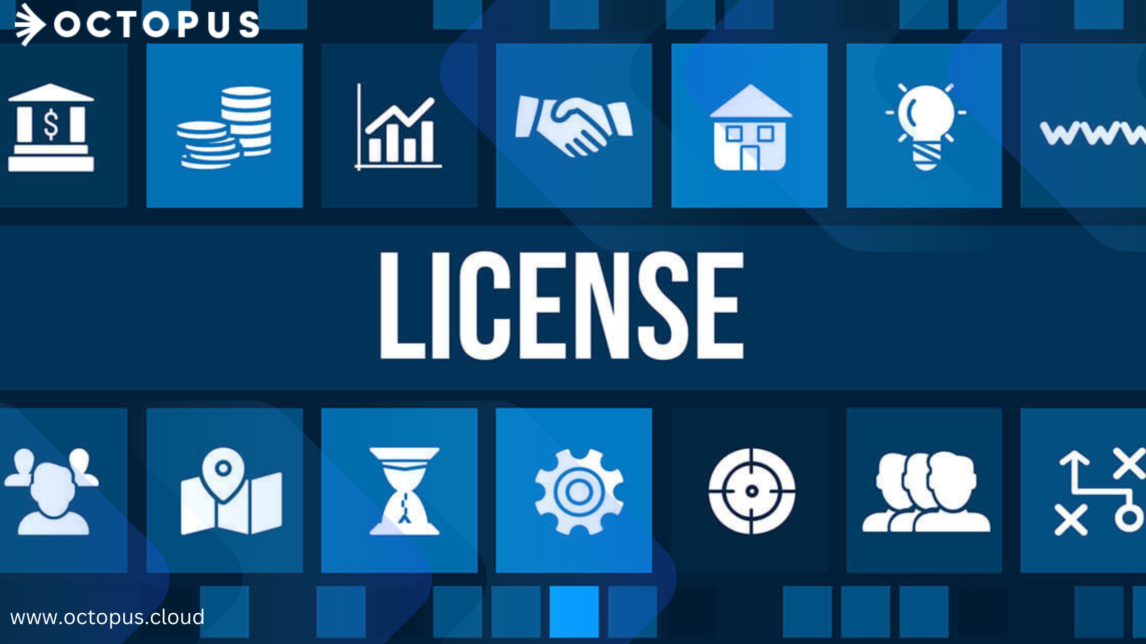 Microsoft license audit